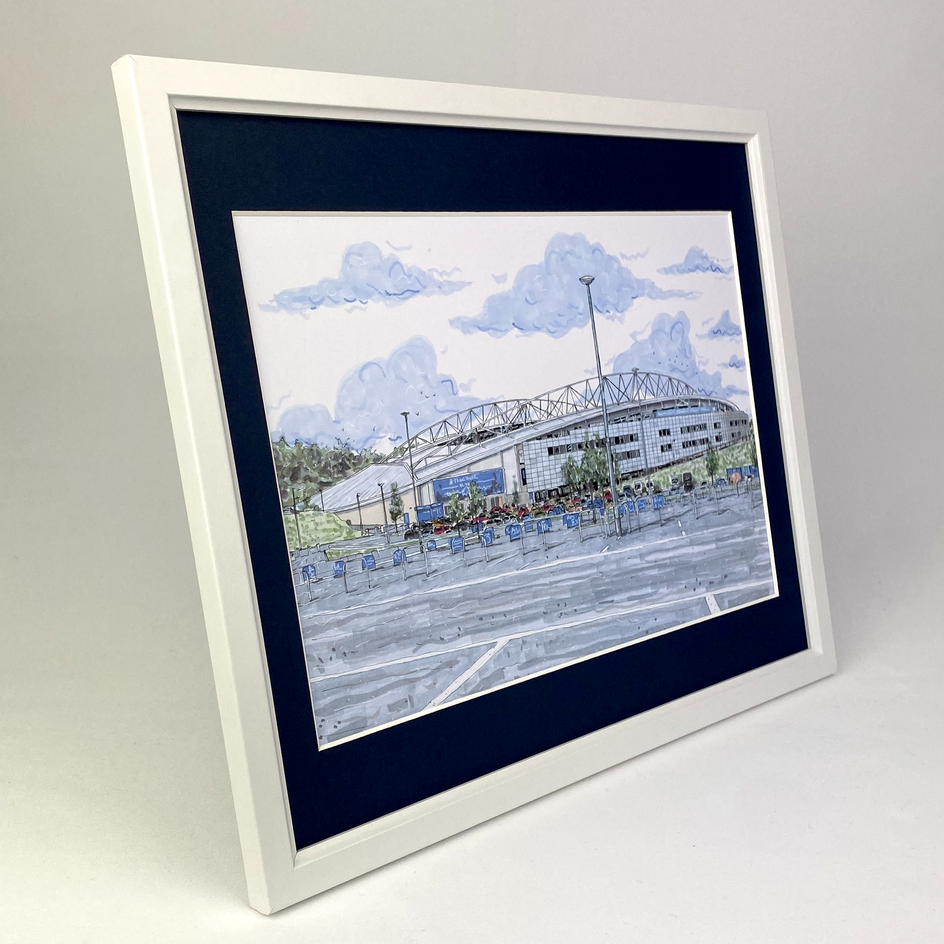 Brighton and Hove Albion Amex Stadium Print
