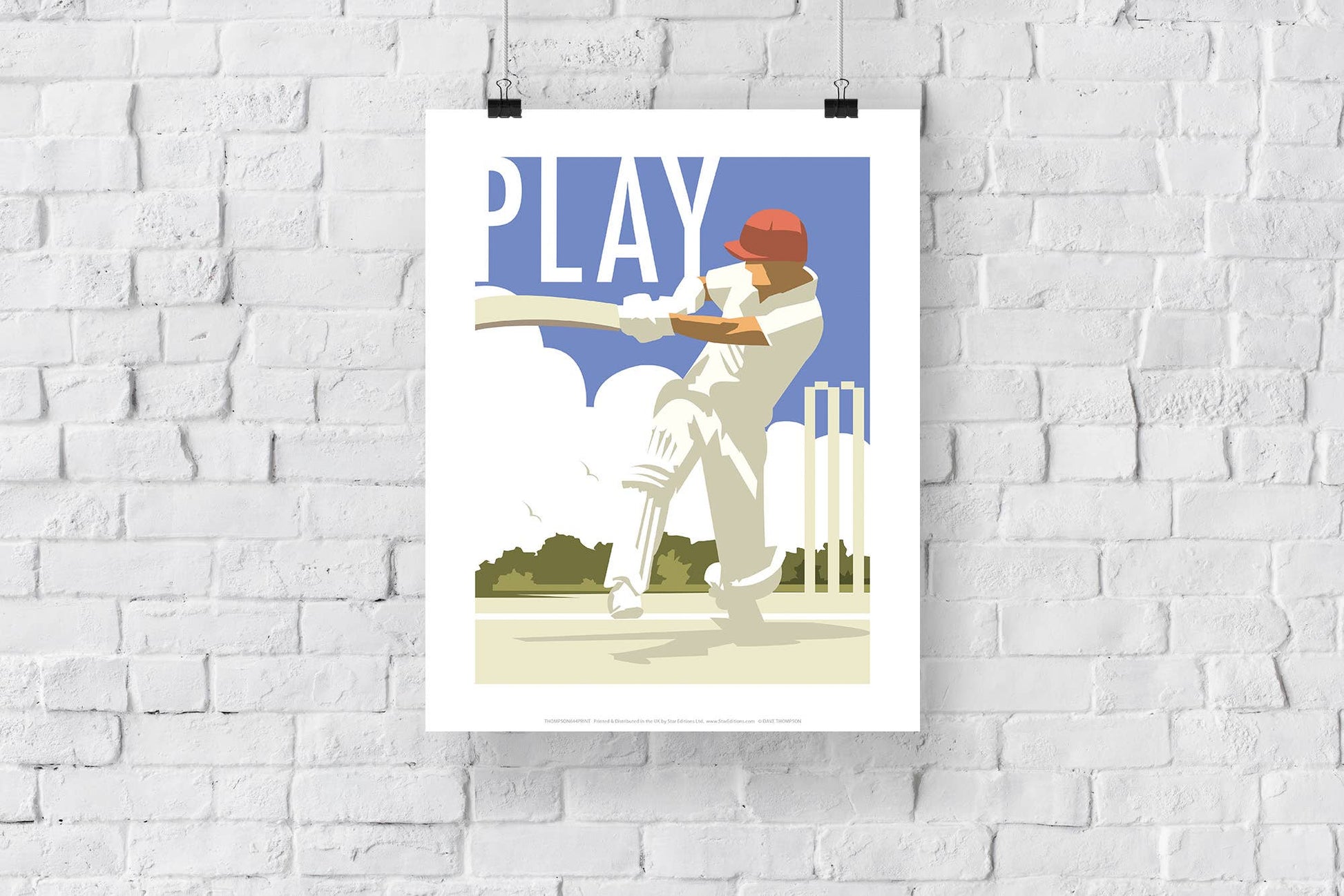 Play, Cricket Art Print