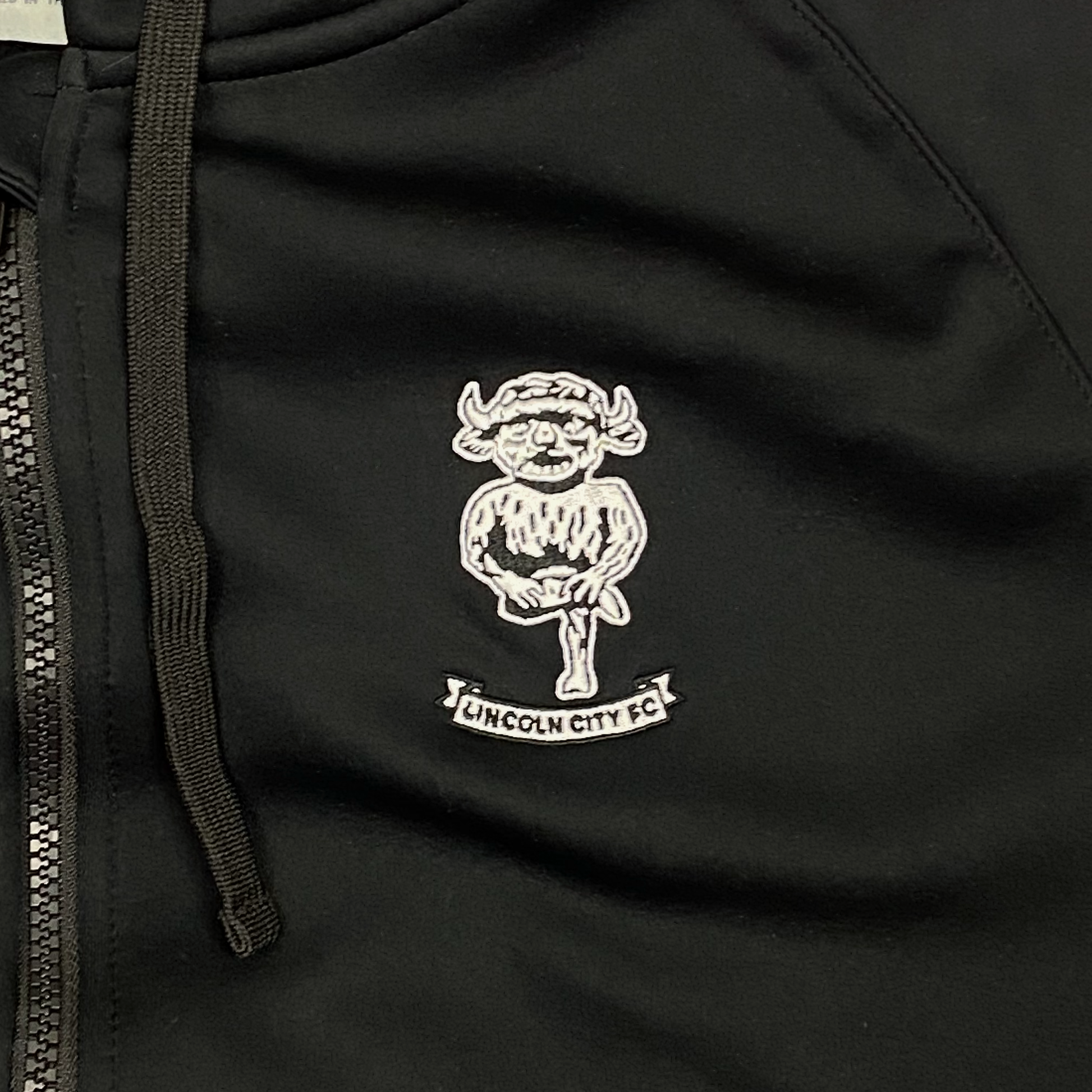 Lincoln City Hoodie | Large