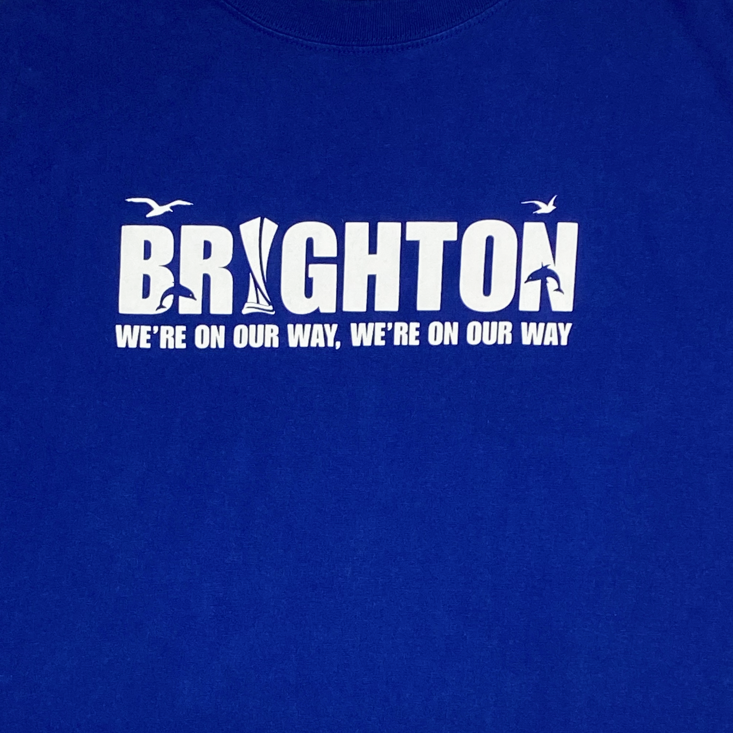Brighton & Hove Albion Europa League T-Shirt | XXL