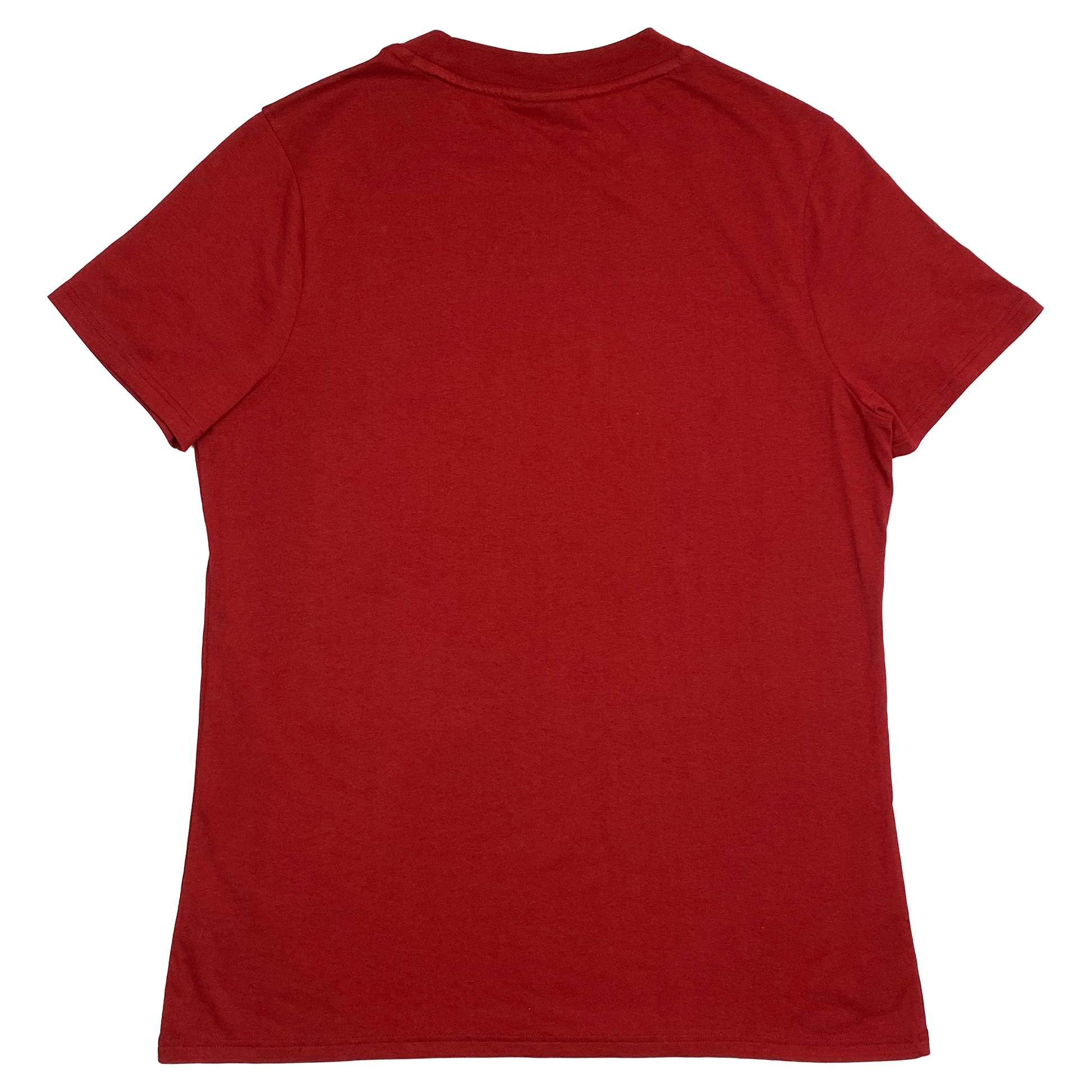 British & Irish Lions T-Shirt | Women's Medium