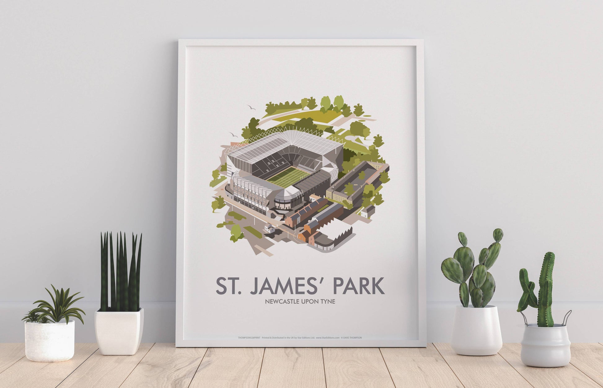 St James' Park, Newcastle Art Print