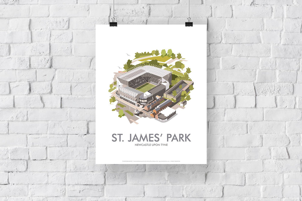 St James' Park, Newcastle Art Print