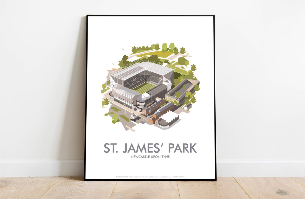 St James' Park, Newcastle Art Print