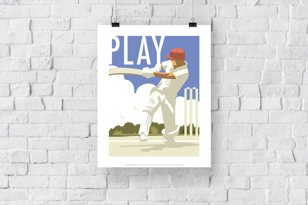 Play, Cricket Art Print