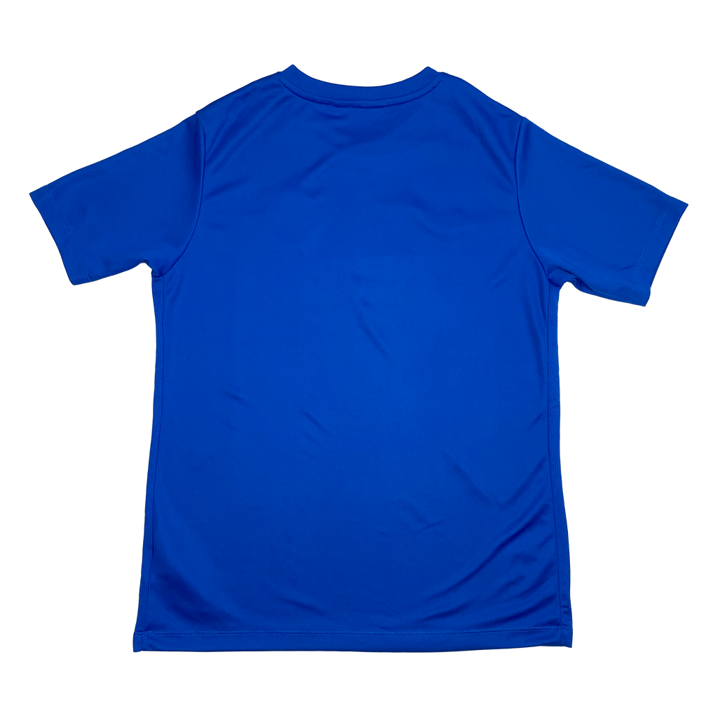 Brighton & Hove Albion Training Shirt (2018-19) | 14-15 Years