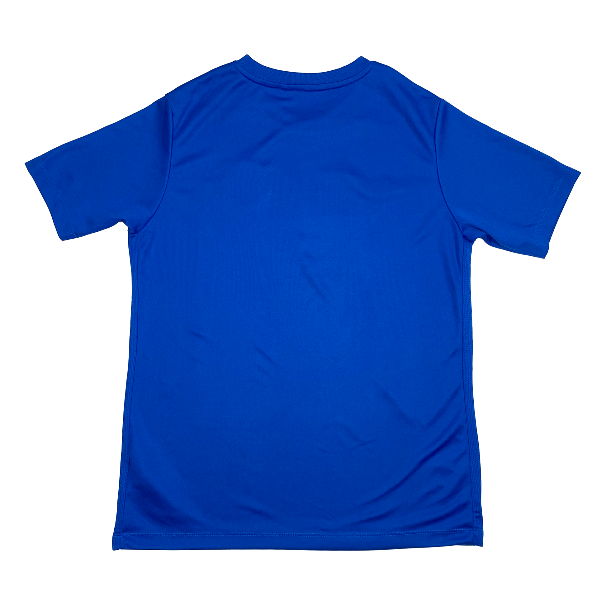 Brighton & Hove Albion Training Shirt (2018-19) | 14-15 Years