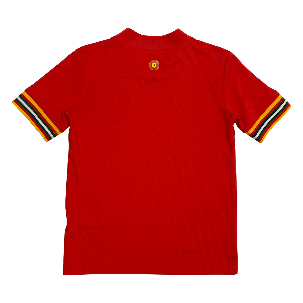 Wales Home Shirt (2020) | 9-10 Years