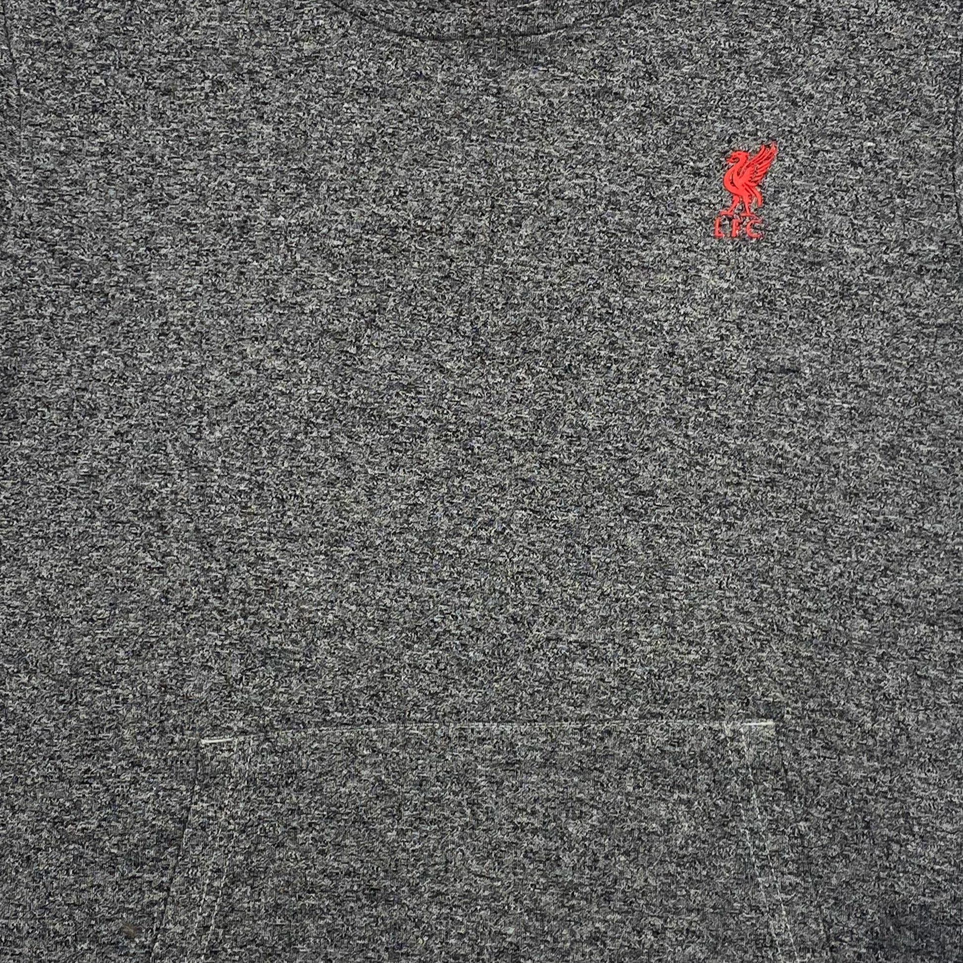 Liverpool Grey Hoodie | 9-10 Years