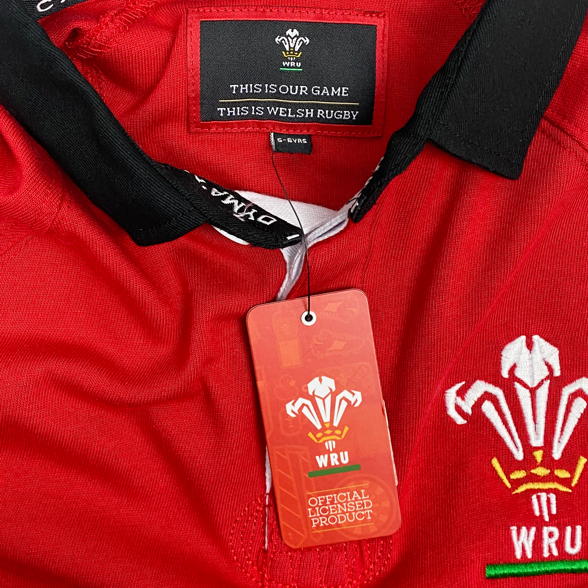 Wales Rugby Long-Sleeve Polo Shirt | 5-6 Years