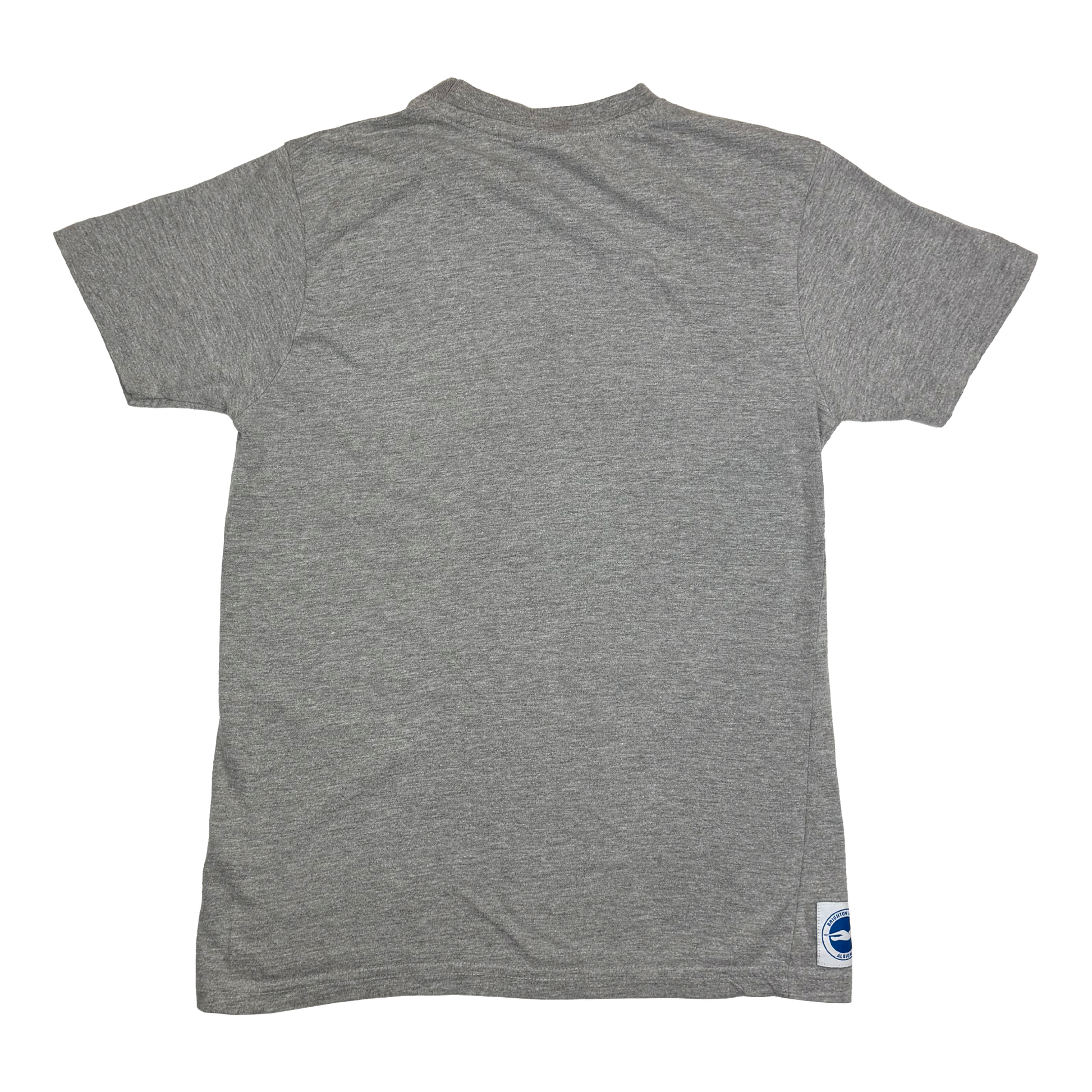 Grey Brighton & Hove Albion T-Shirt | 9-10 Years