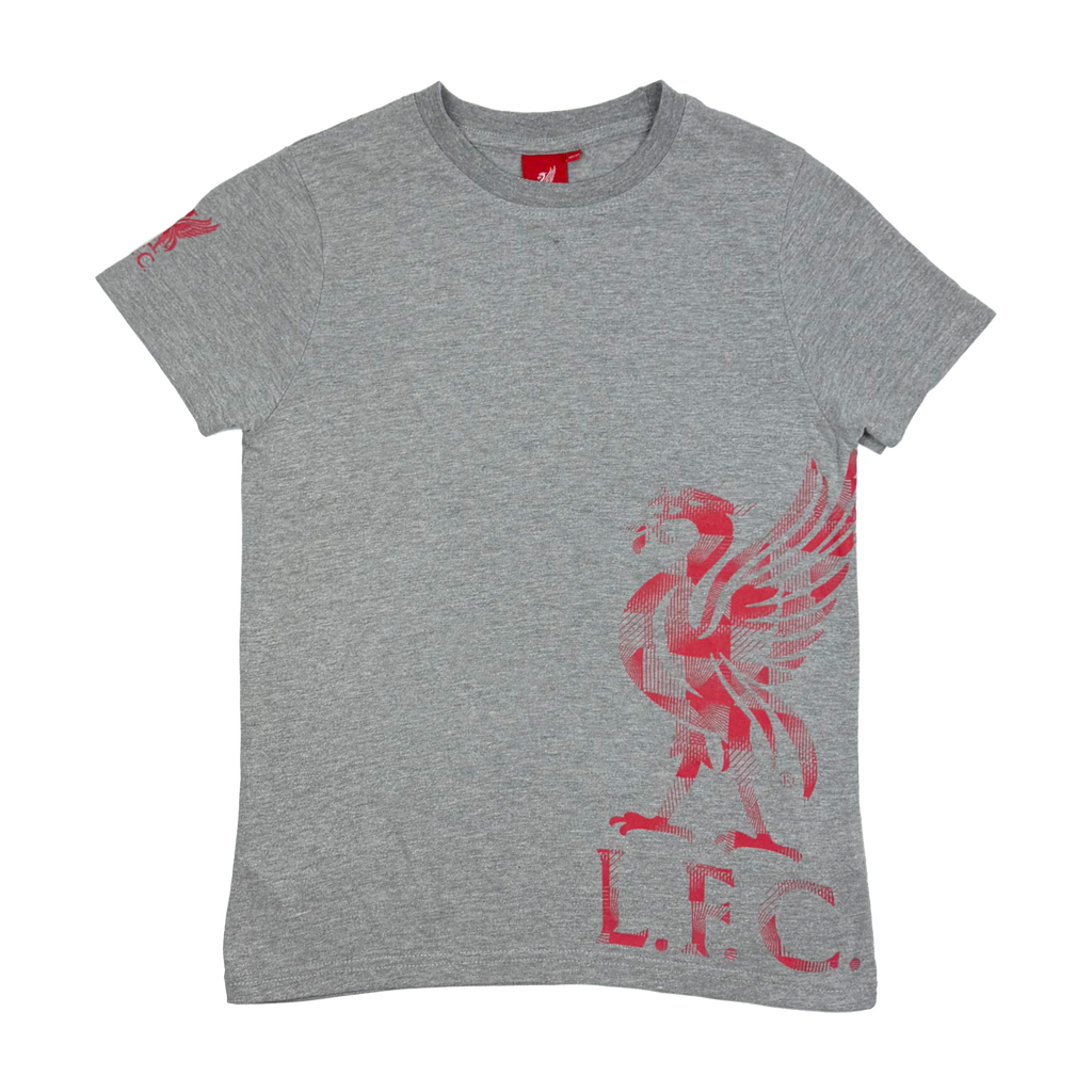 Liverpool Grey Liverbird Print T-Shirt | 10-11 Years
