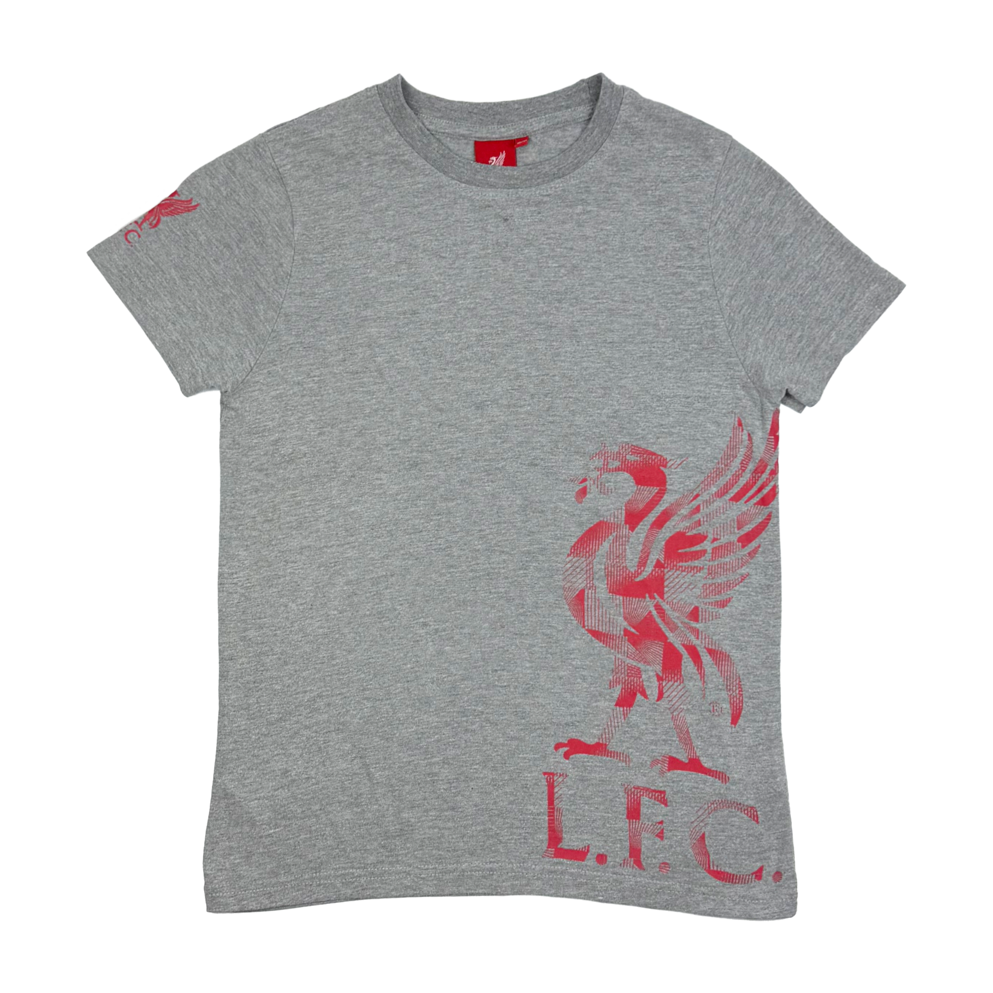 Liverpool Grey Liverbird Print T-Shirt | 10-11 Years