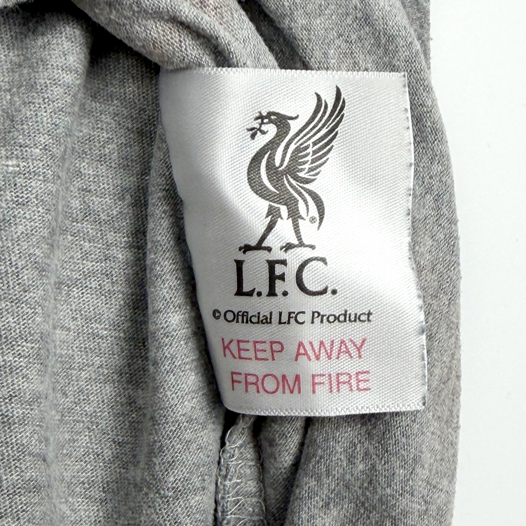 Liverpool Grey Liverbird Print T-Shirt | 10-11 Years