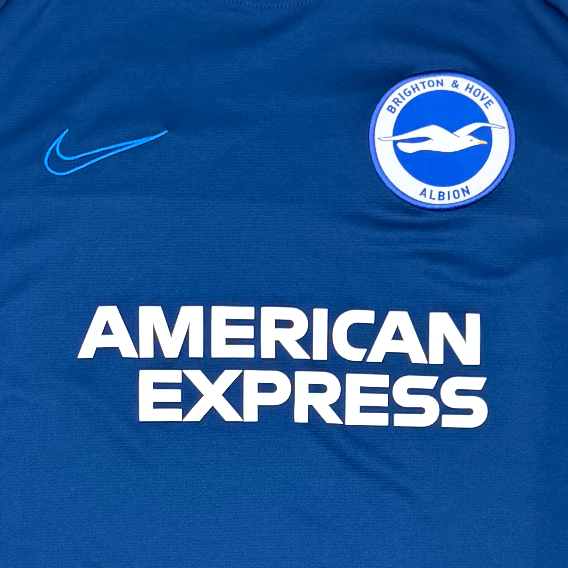Brighton & Hove Albion Training Shirt | Large