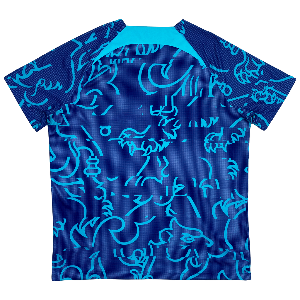 Chelsea Pre-Match Shirt (2022-23) | Extra Large