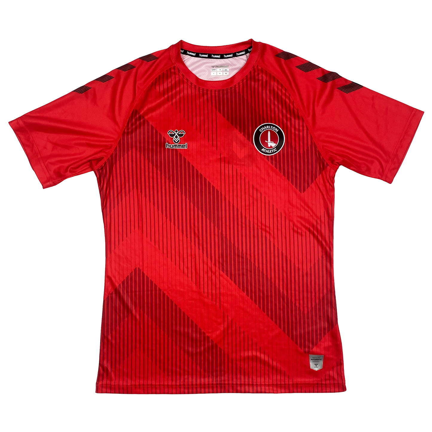 Charlton Athletic Training Shirt (2021-22) | Small