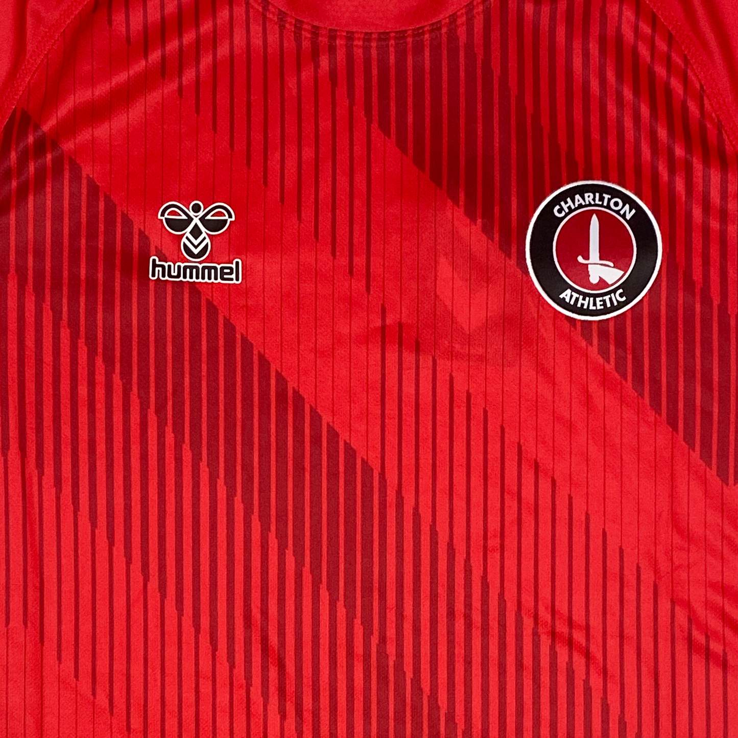 Charlton Athletic Training Shirt (2021-22) | Small