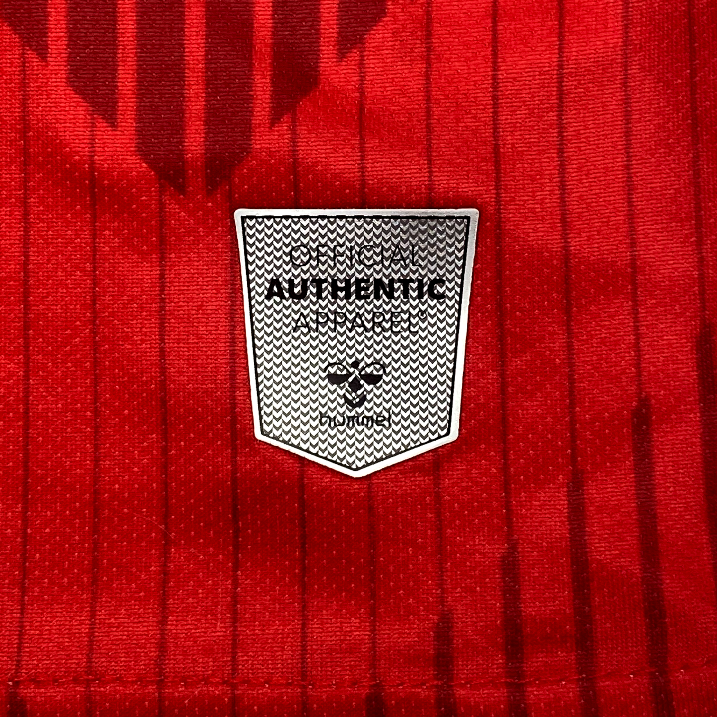 Charlton Athletic Training Shirt (2021-22) | Small