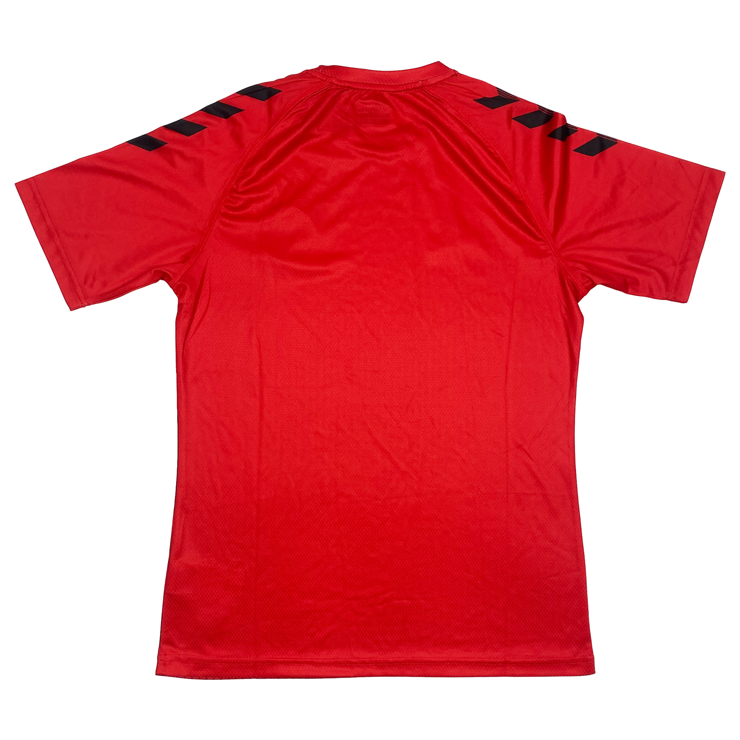 Charlton Athletic Training Shirt (2021-22) | Small