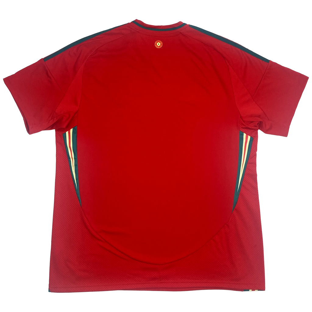 Wales Home Shirt (2024) | Extra Large