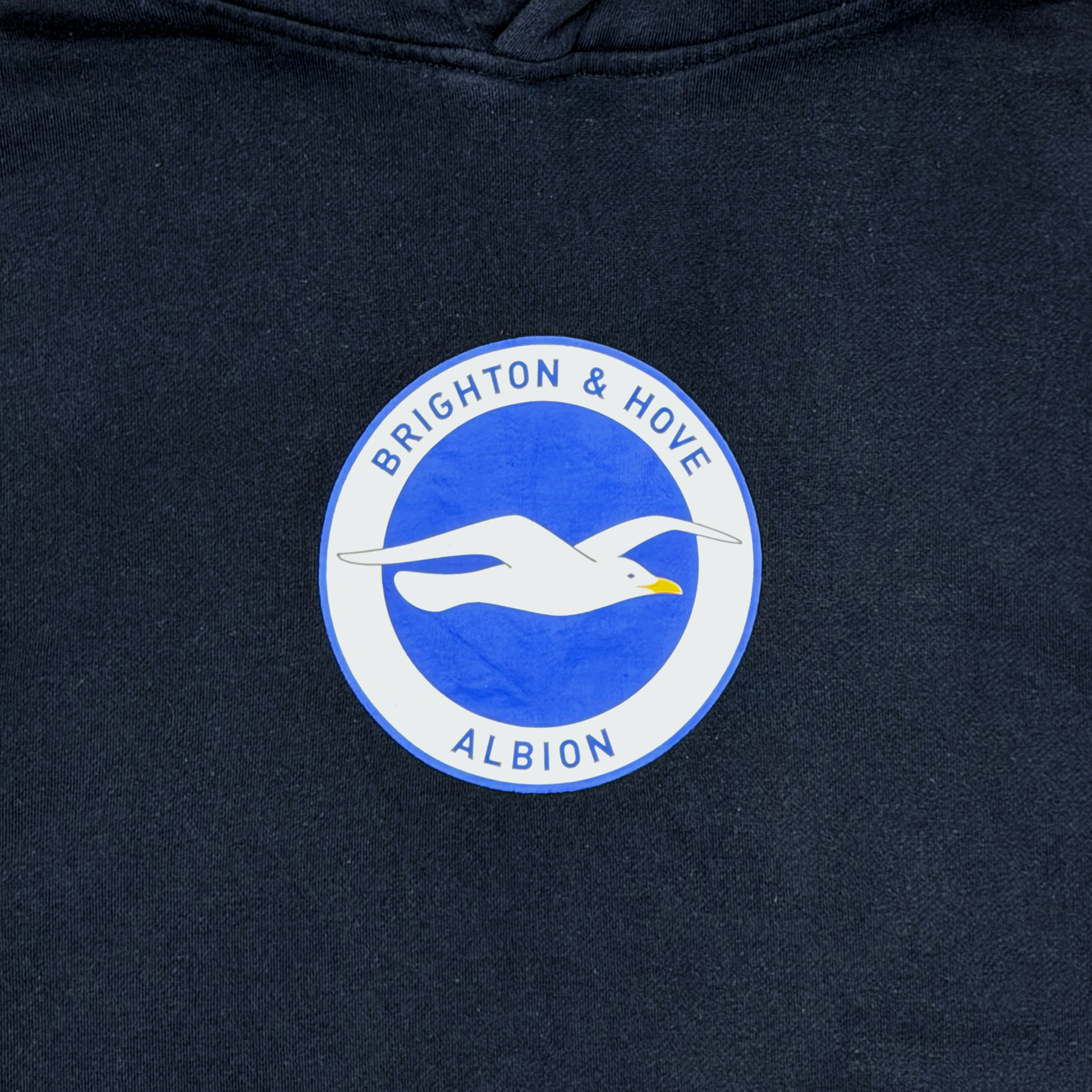 Brighton & Hove Albion Navy Hoodie | Small