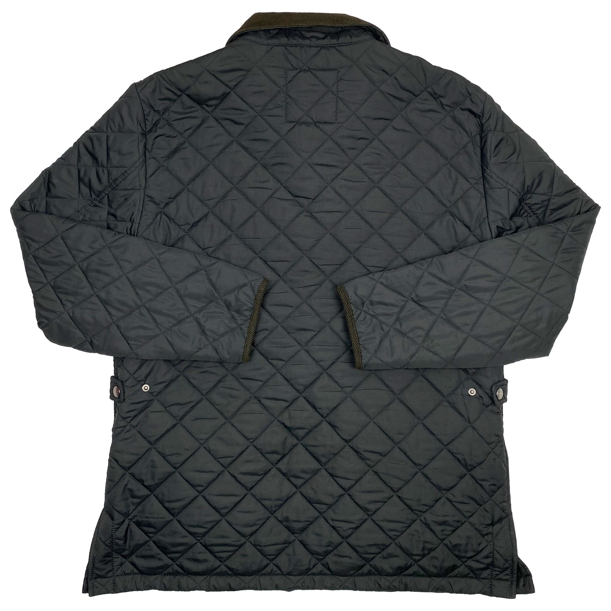 Brighton & Hove Albion Padded Jacket | XXL