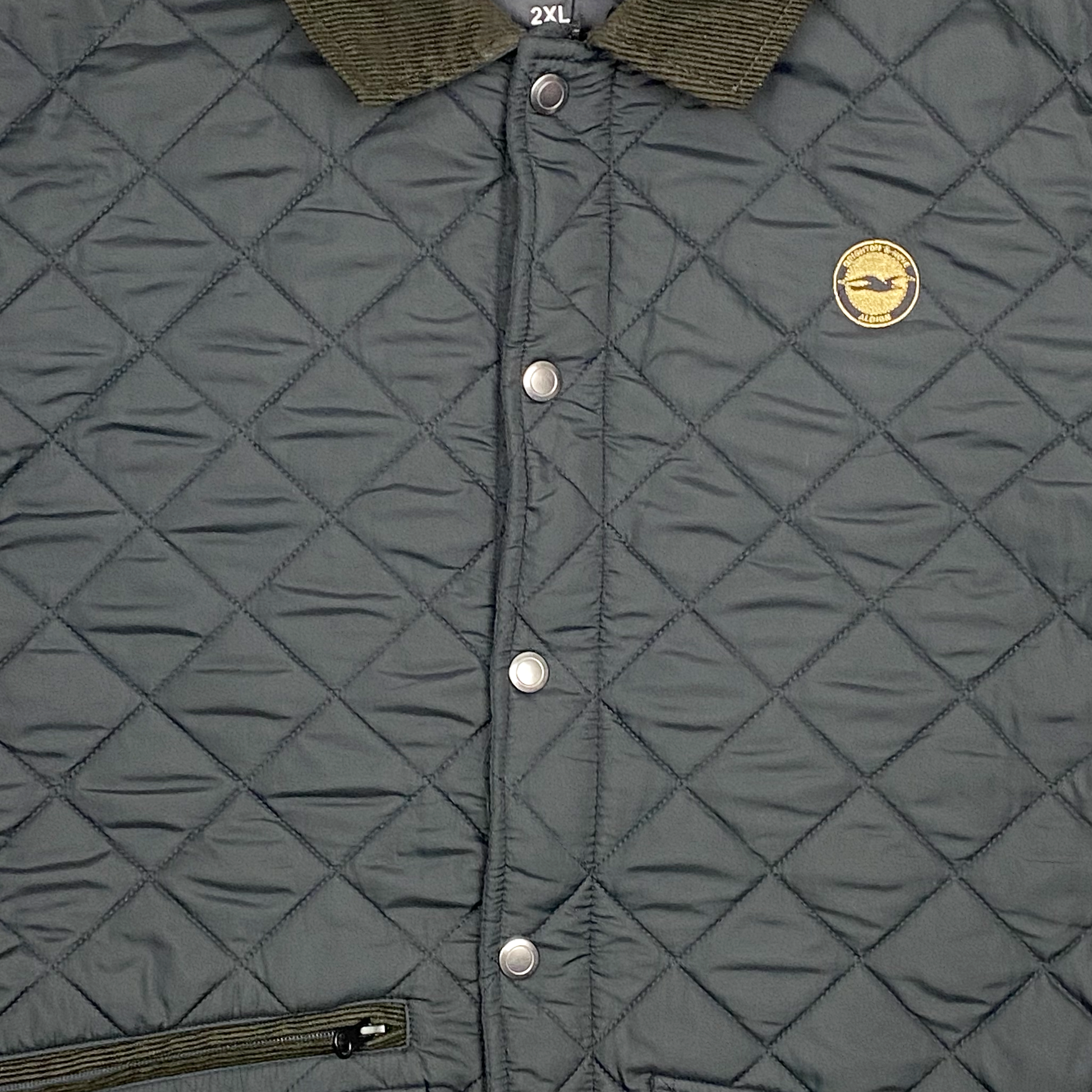 Brighton & Hove Albion Padded Jacket | XXL