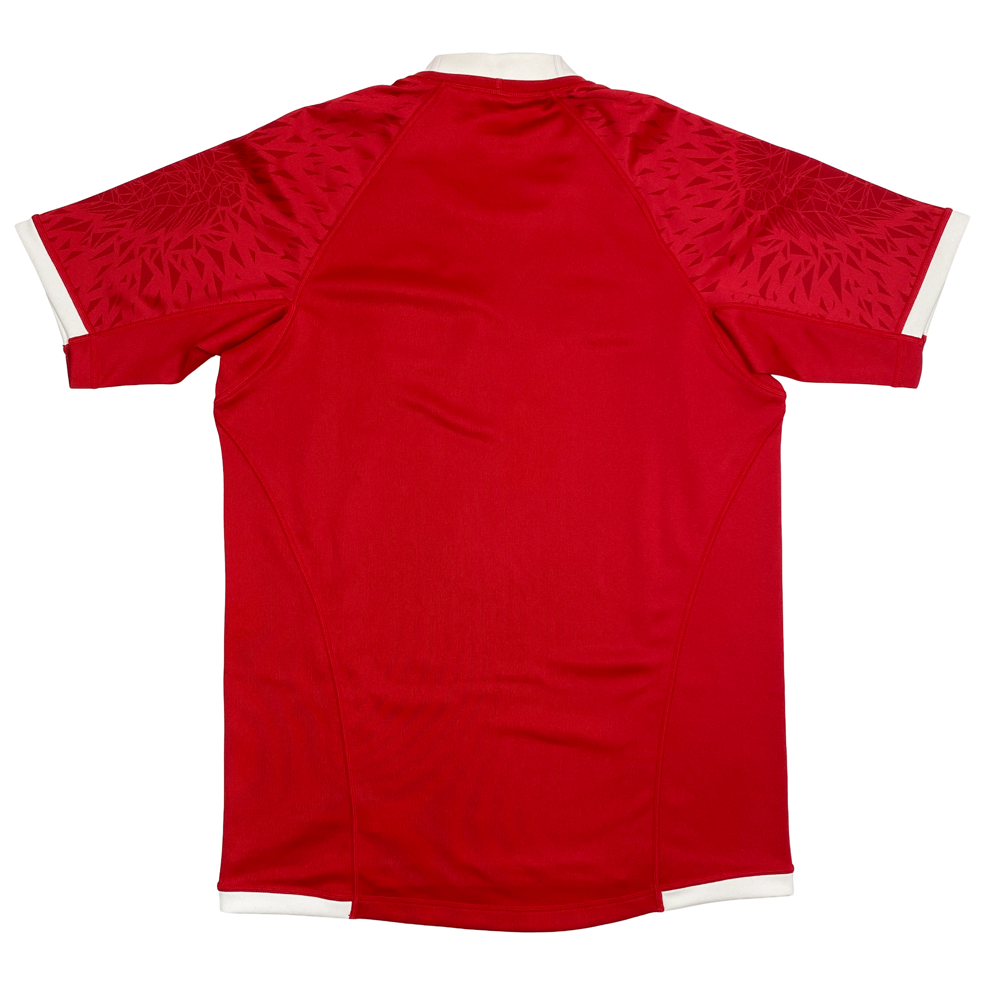 British & Irish Lions Jersey (2021) | Medium