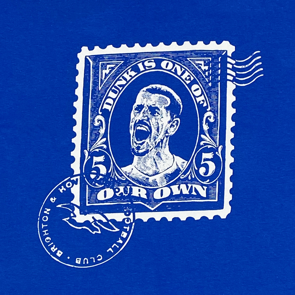 Brighton & Hove Albion Lewis Dunk T-Shirt | Medium
