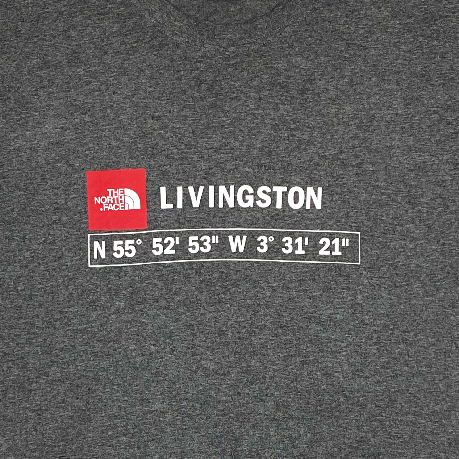 Livingston Grey The North Face T-Shirt | Medium