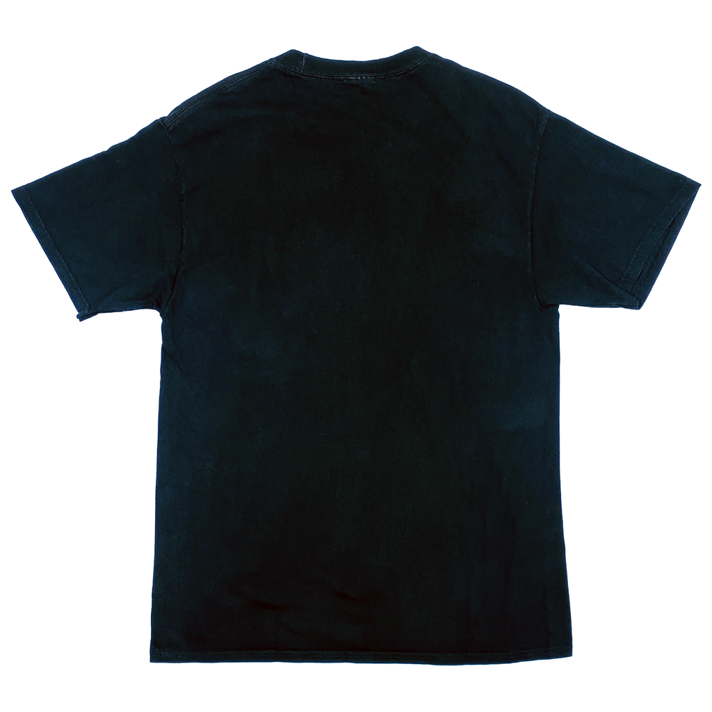 Pittsburgh Steelers 'Black and Gold Runs Through my Veins' T-Shirt | Small