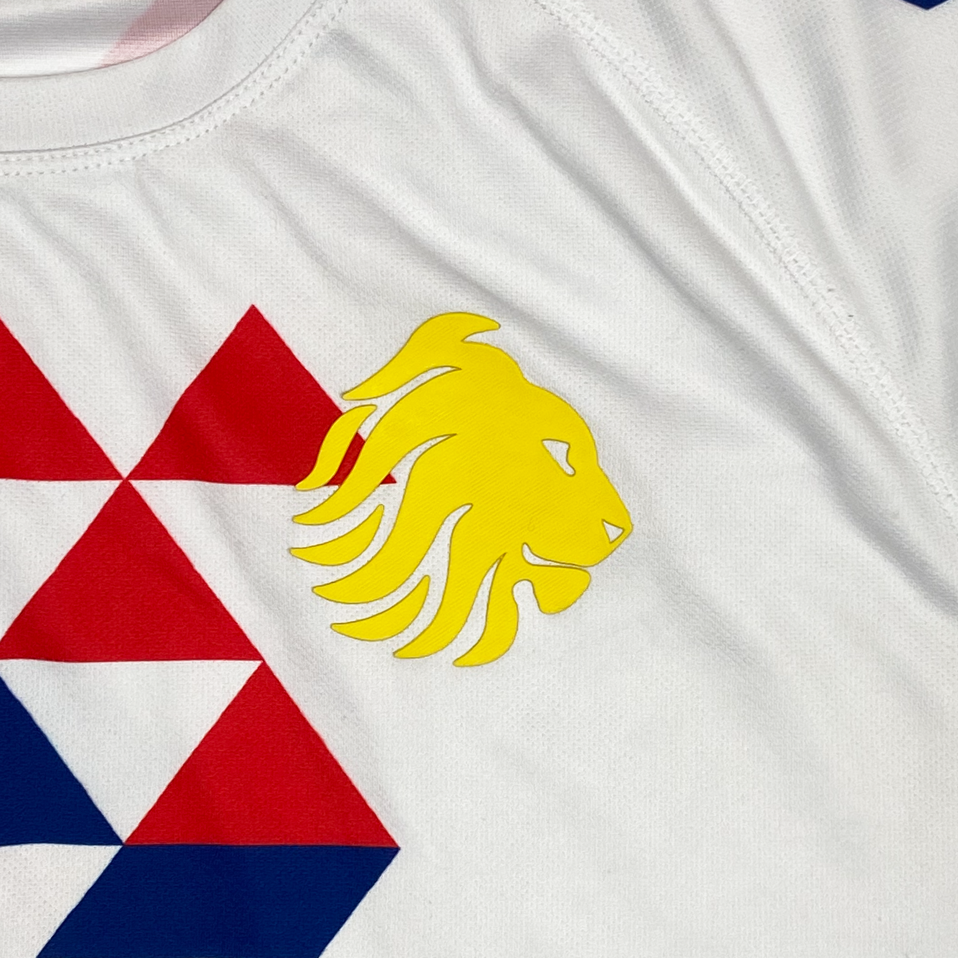 Great Britain Rugby League Lions 2019 Jersey | Large