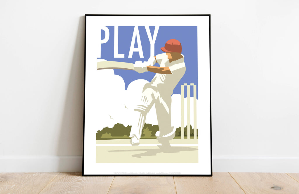 Play, Cricket Art Print