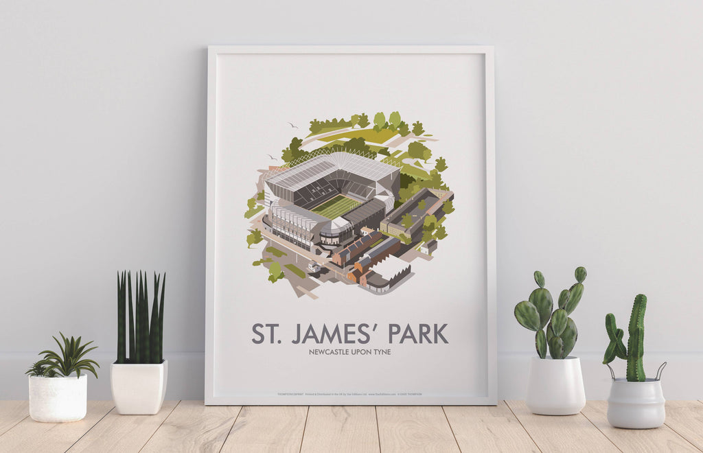 St James' Park, Newcastle Art Print