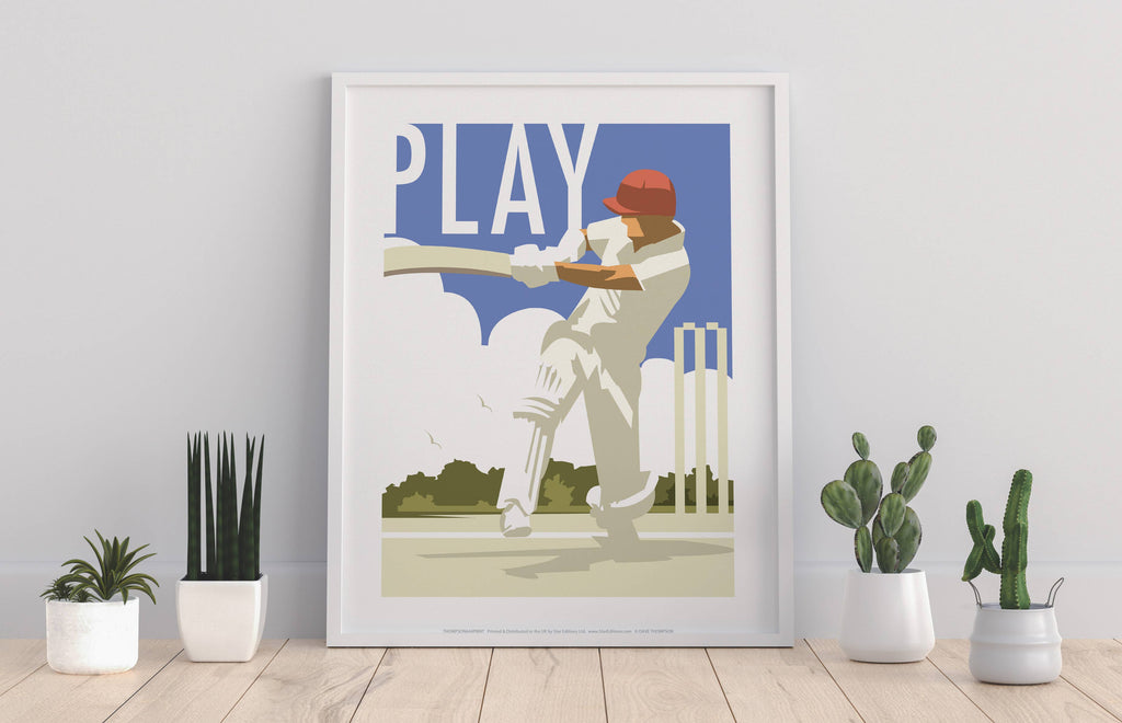 Play, Cricket Art Print